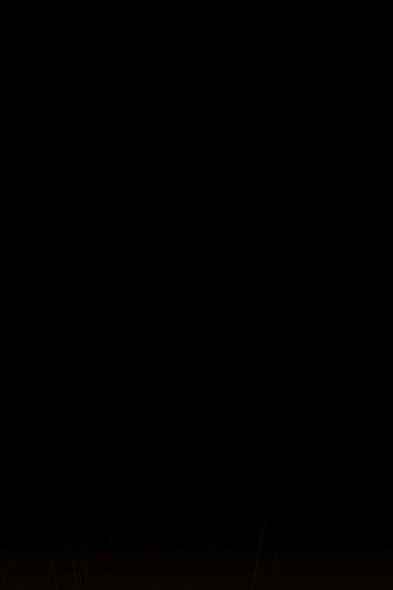 Hắc Bạch Võ Đế Chapter 9 trang 21