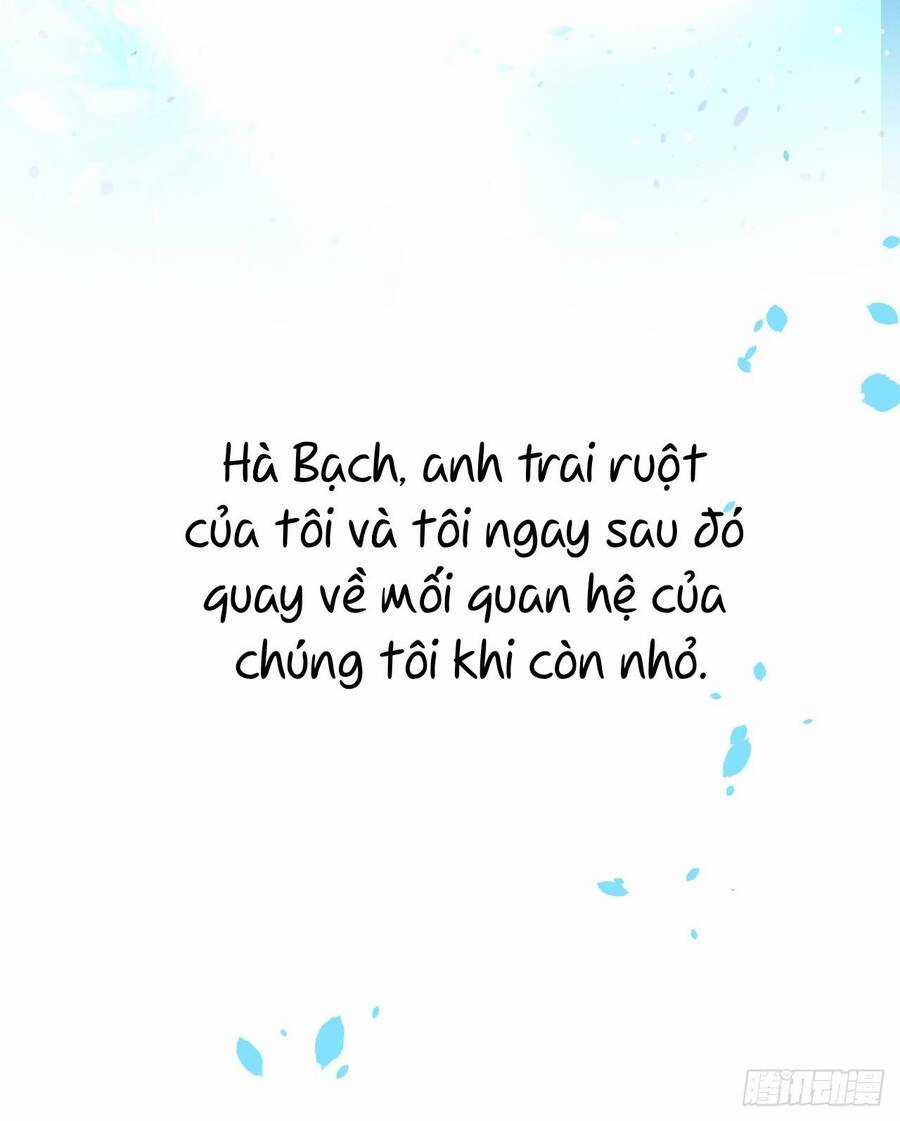 Hắc Đạo Đáng Yêu Món quà ý nghĩa nhất cho người thân yêu Chapter 142 trang 30