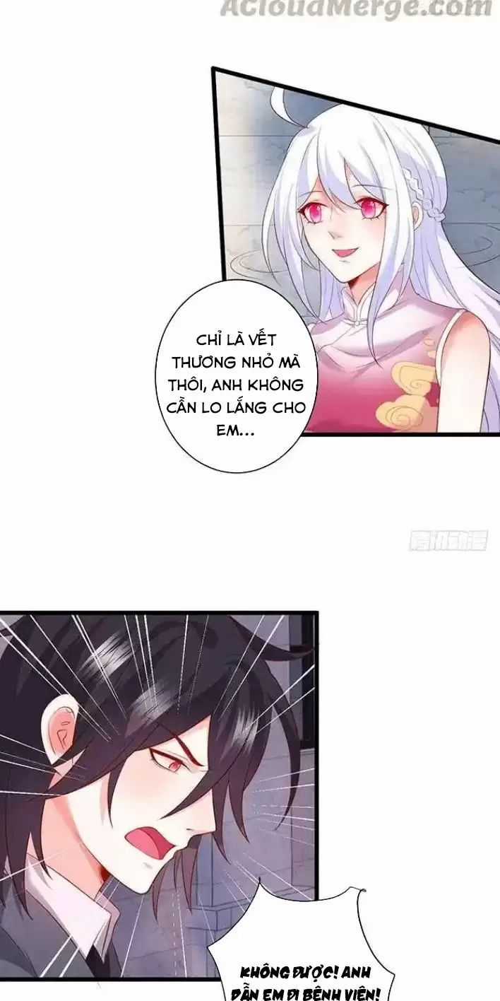 Hắc Đạo Đáng Yêu Món quà ý nghĩa nhất cho người thân yêu Chapter 161 trang 18