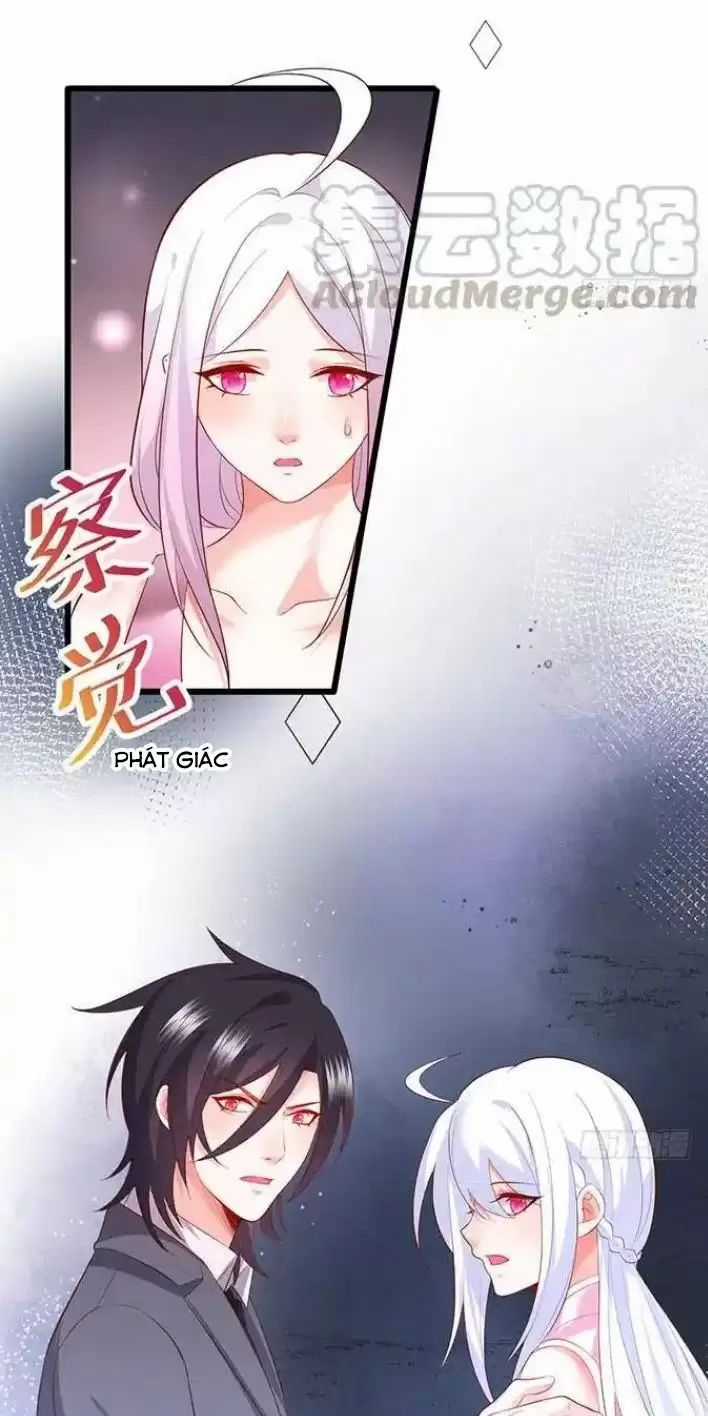 Hắc Đạo Đáng Yêu Món quà ý nghĩa nhất cho người thân yêu Chapter 161 trang 21