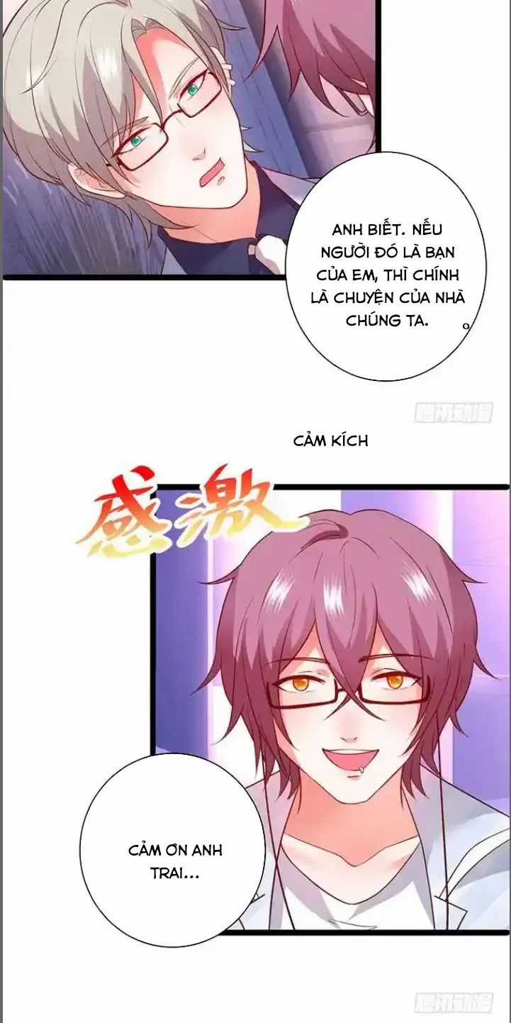 Hắc Đạo Đáng Yêu Món quà ý nghĩa nhất cho người thân yêu Chapter 175 trang 3