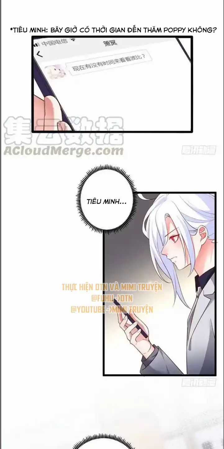 Hắc Đạo Đáng Yêu Món quà ý nghĩa nhất cho người thân yêu Chapter 175 trang 30