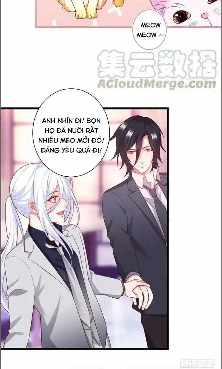 Hắc Đạo Đáng Yêu Món quà ý nghĩa nhất cho người thân yêu Chapter 176 trang 10