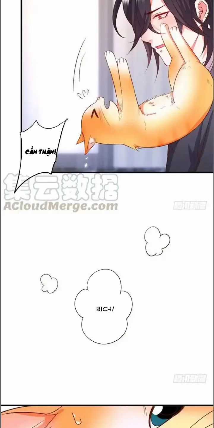 Hắc Đạo Đáng Yêu Món quà ý nghĩa nhất cho người thân yêu Chapter 176 trang 18