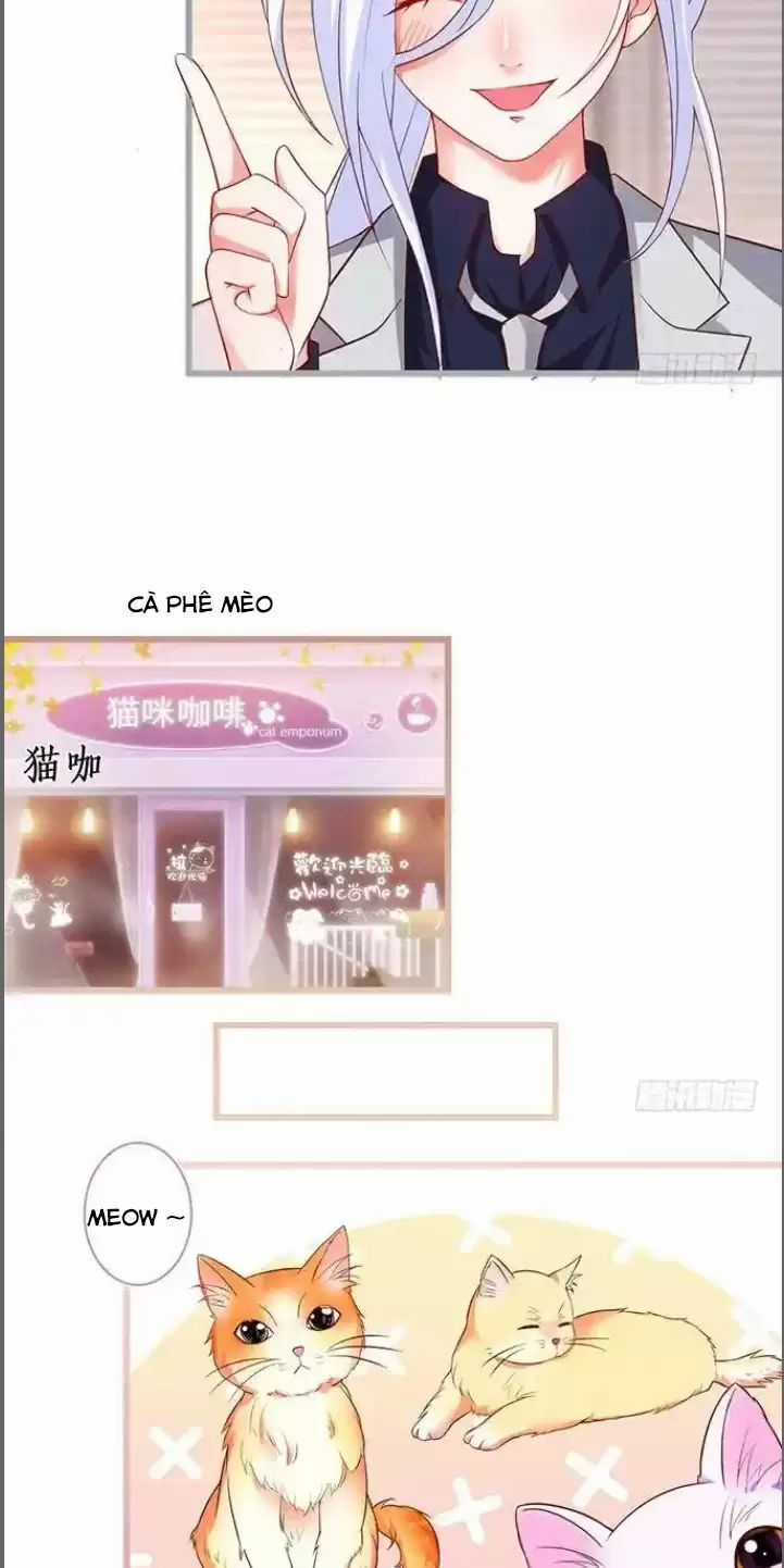 Hắc Đạo Đáng Yêu Món quà ý nghĩa nhất cho người thân yêu Chapter 176 trang 9