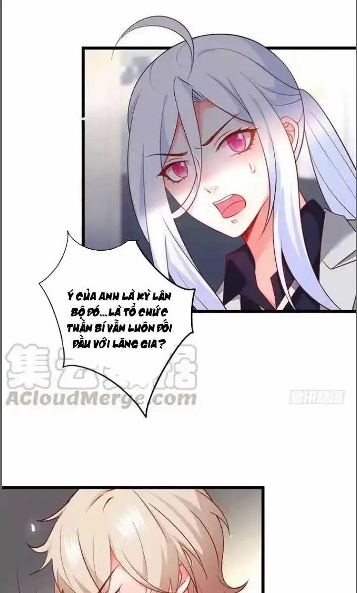 Hắc Đạo Đáng Yêu Món quà ý nghĩa nhất cho người thân yêu Chapter 179 trang 14