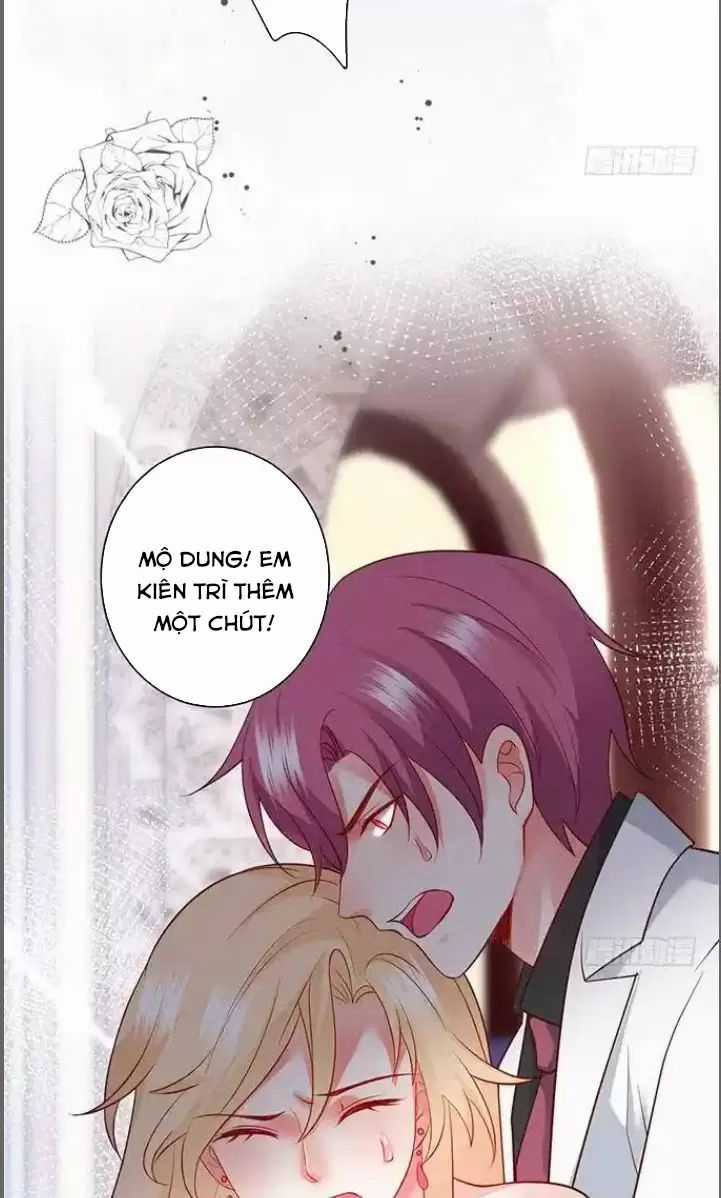 Hắc Đạo Đáng Yêu Món quà ý nghĩa nhất cho người thân yêu Chapter 181 trang 11