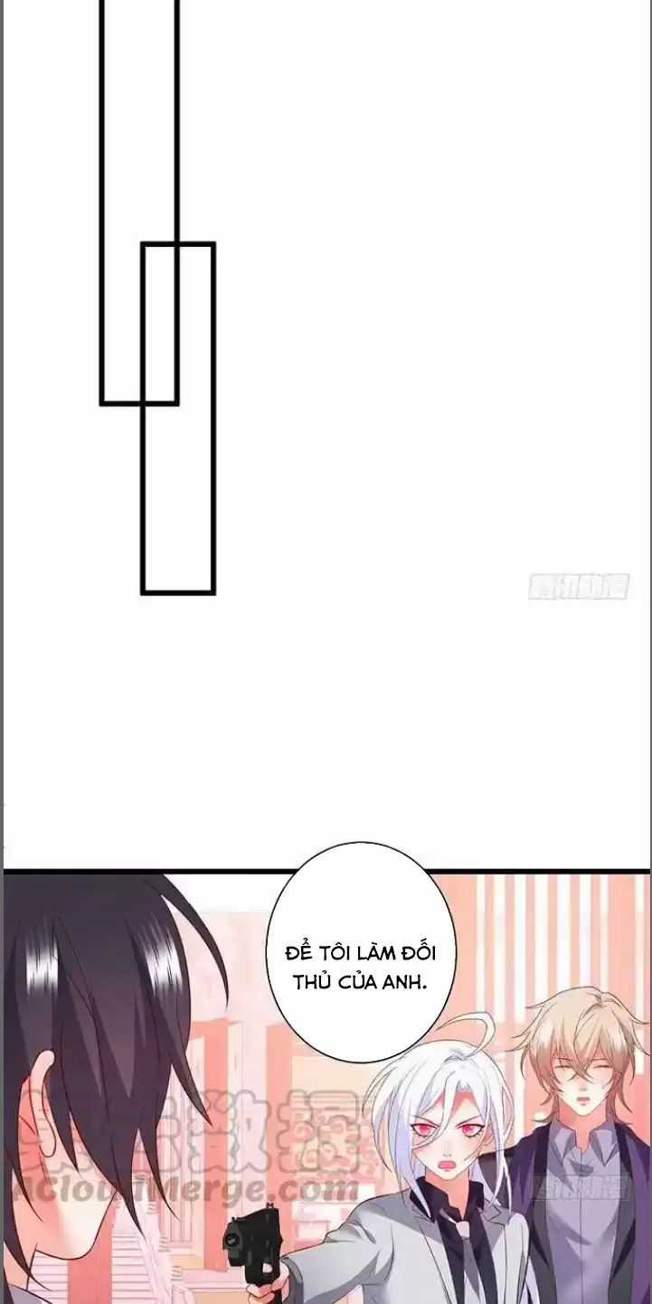 Hắc Đạo Đáng Yêu Món quà ý nghĩa nhất cho người thân yêu Chapter 184 trang 15