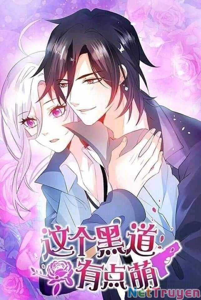 Hắc Đạo Đáng Yêu Chapter 140 trang 2