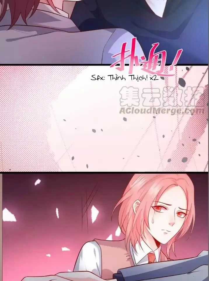 Hắc Đạo Đáng Yêu Chapter 153 trang 14