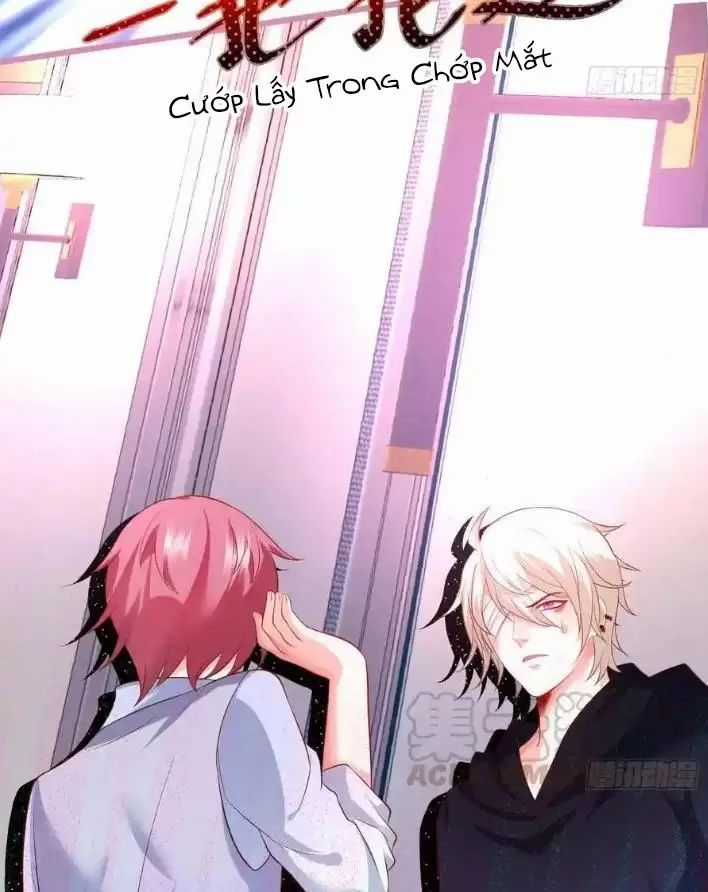 Hắc Đạo Đáng Yêu Chapter 155 trang 25