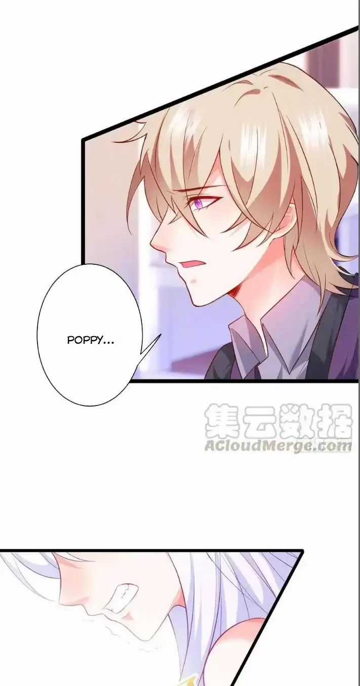 Hắc Đạo Đáng Yêu Chapter 156 trang 26