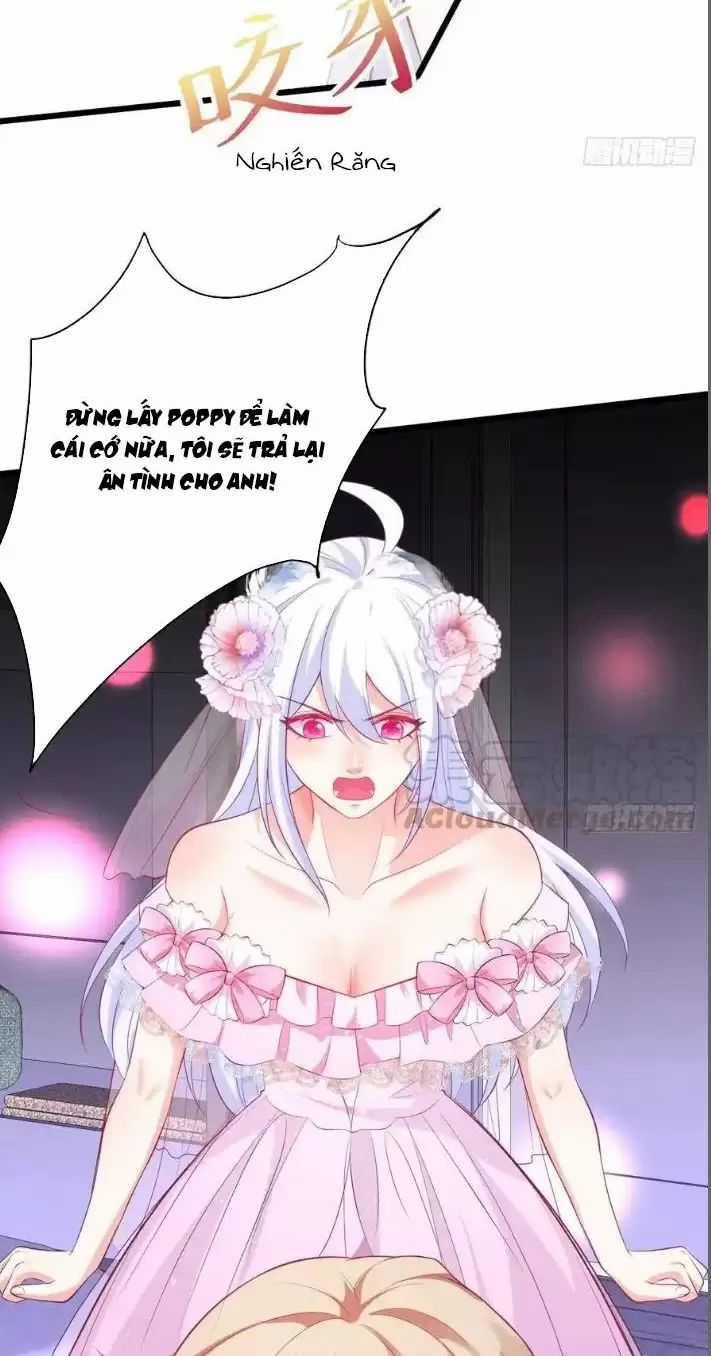 Hắc Đạo Đáng Yêu Chapter 156 trang 27