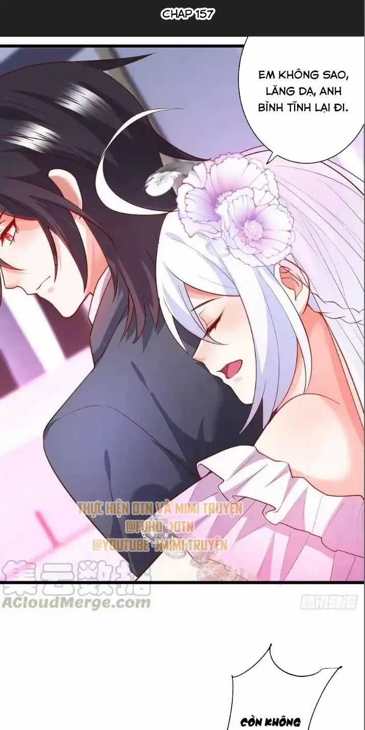 Hắc Đạo Đáng Yêu Chapter 157 trang 1