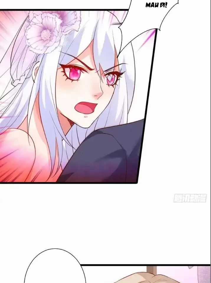 Hắc Đạo Đáng Yêu Chapter 157 trang 2