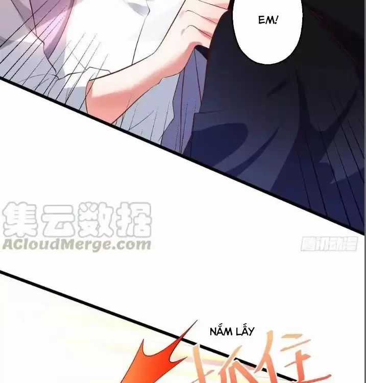 Hắc Đạo Đáng Yêu Chapter 160 trang 11