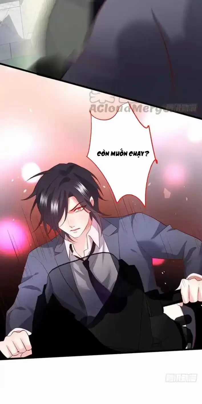 Hắc Đạo Đáng Yêu Chapter 161 trang 10