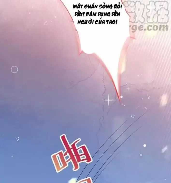 Hắc Đạo Đáng Yêu Chapter 161 trang 12