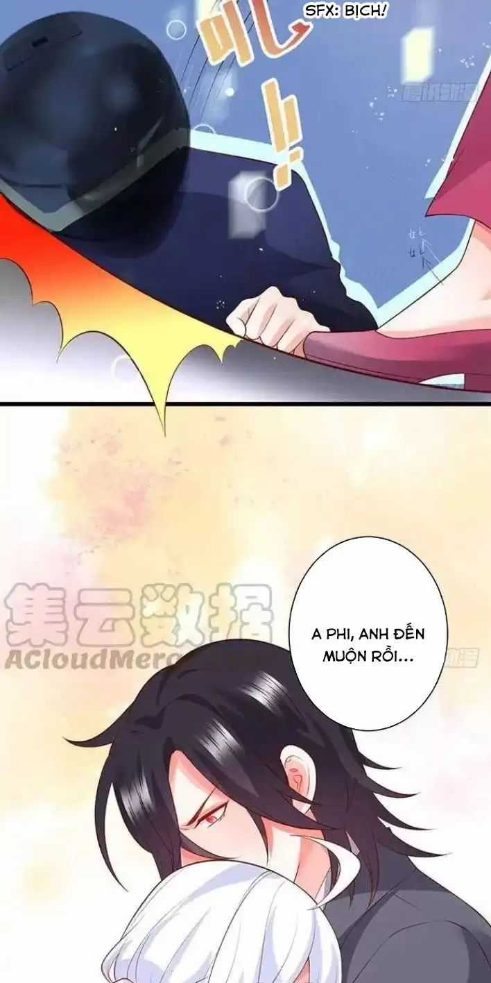 Hắc Đạo Đáng Yêu Chapter 161 trang 13