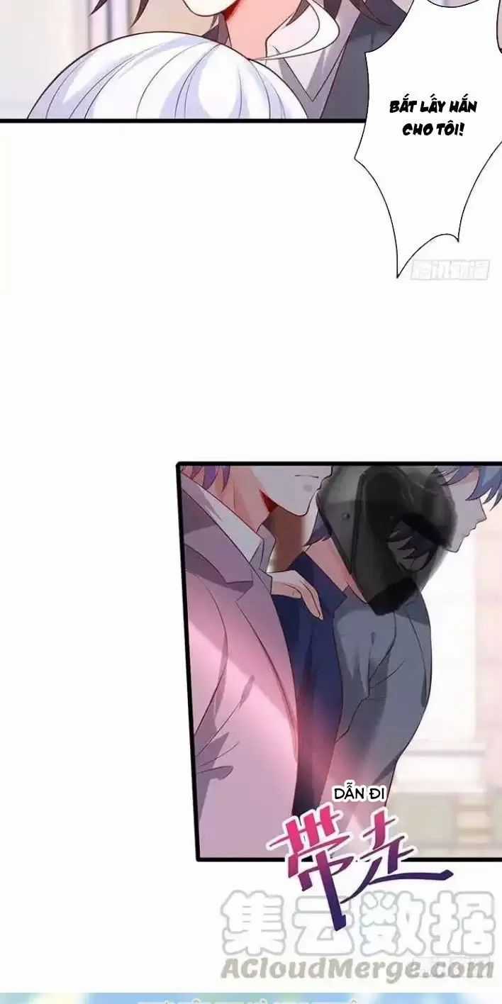 Hắc Đạo Đáng Yêu Chapter 161 trang 16