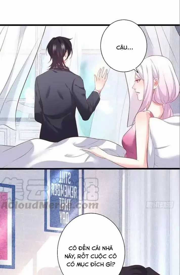 Hắc Đạo Đáng Yêu Chapter 161 trang 26