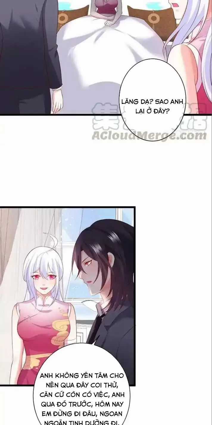 Hắc Đạo Đáng Yêu Chapter 161 trang 31