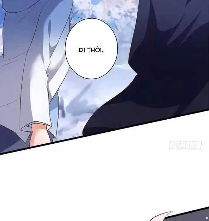 Hắc Đạo Đáng Yêu Chapter 162 trang 24