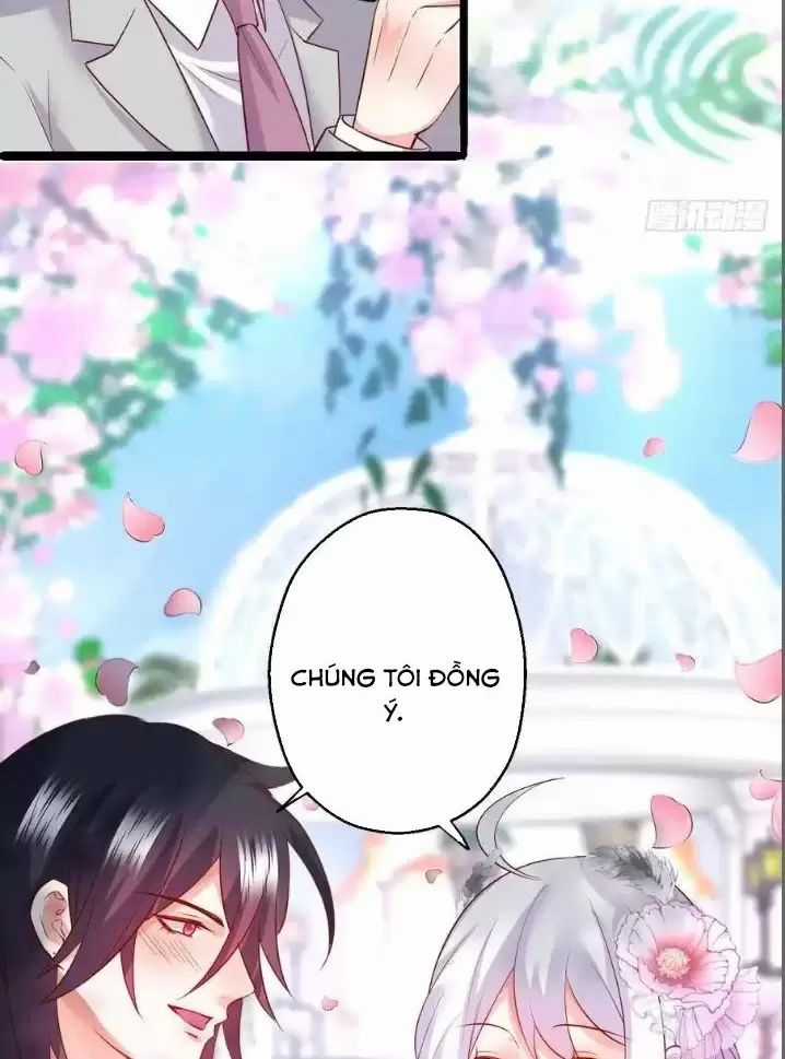 Hắc Đạo Đáng Yêu Chapter 163 trang 42