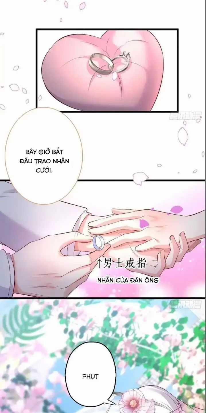 Hắc Đạo Đáng Yêu Chapter 163 trang 44