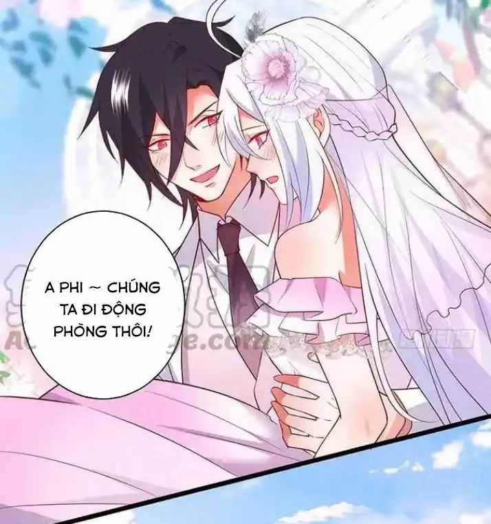 Hắc Đạo Đáng Yêu Chapter 164 trang 26