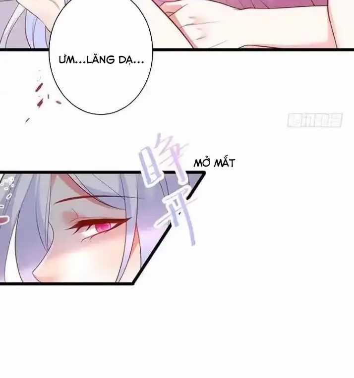 Hắc Đạo Đáng Yêu Chapter 164 trang 36