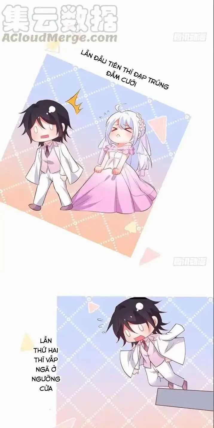 Hắc Đạo Đáng Yêu Chapter 164 trang 4