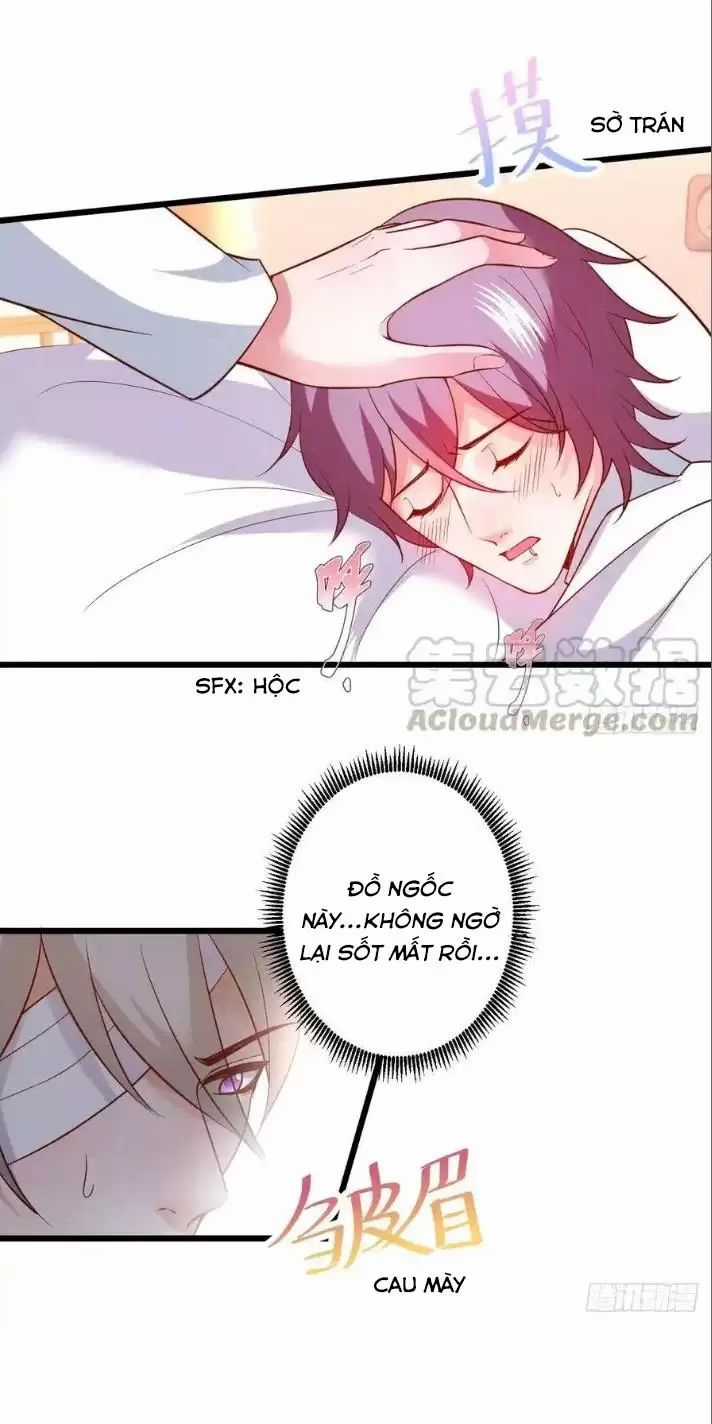 Hắc Đạo Đáng Yêu Chapter 165 trang 16