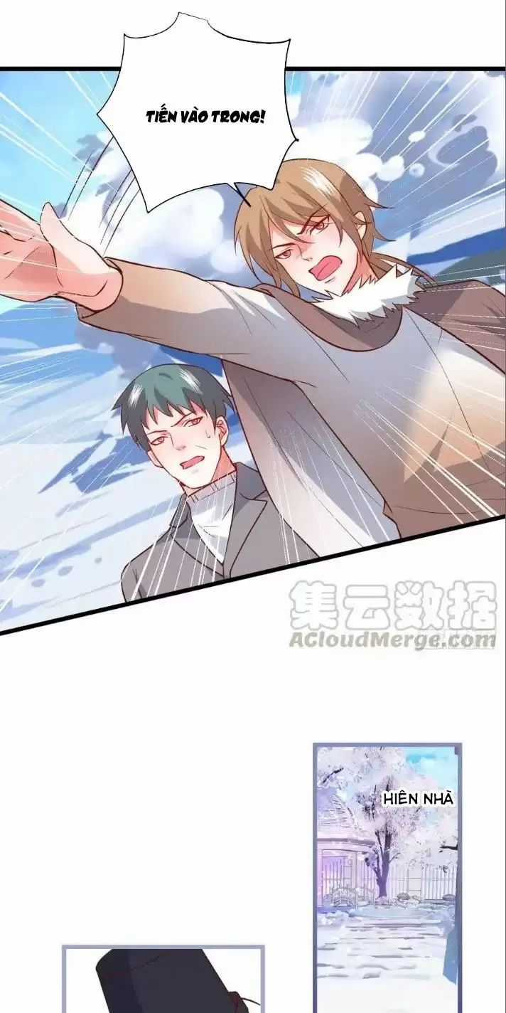 Hắc Đạo Đáng Yêu Chapter 165 trang 25