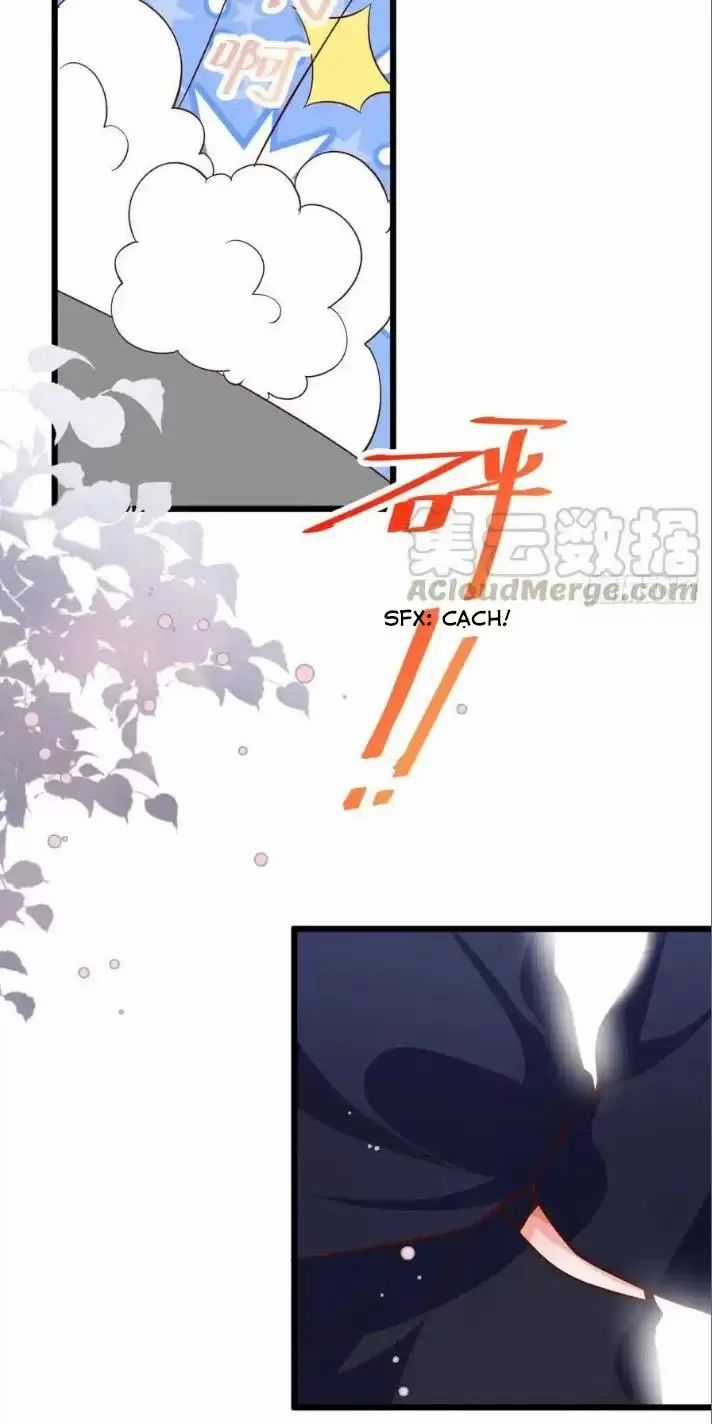 Hắc Đạo Đáng Yêu Chapter 165 trang 34