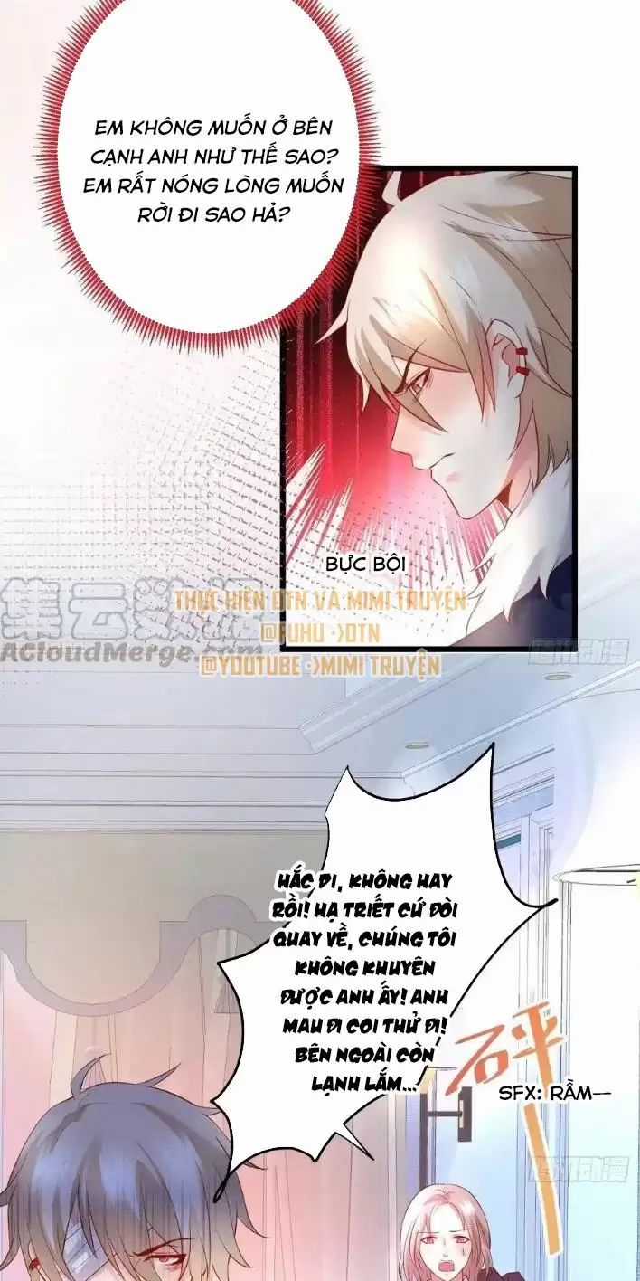 Hắc Đạo Đáng Yêu Chapter 166 trang 29