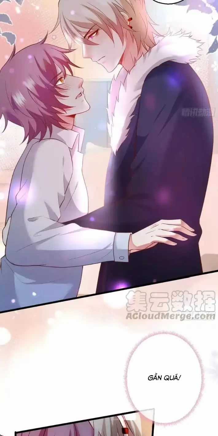 Hắc Đạo Đáng Yêu Chapter 166 trang 7