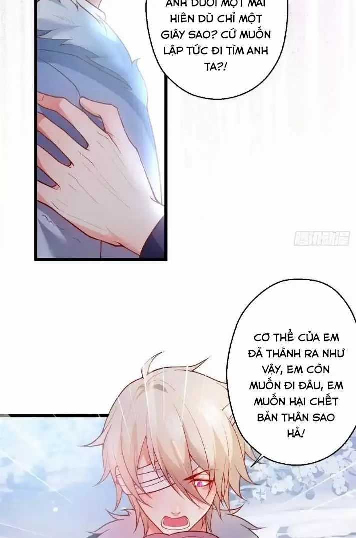 Hắc Đạo Đáng Yêu Chapter 167 trang 11