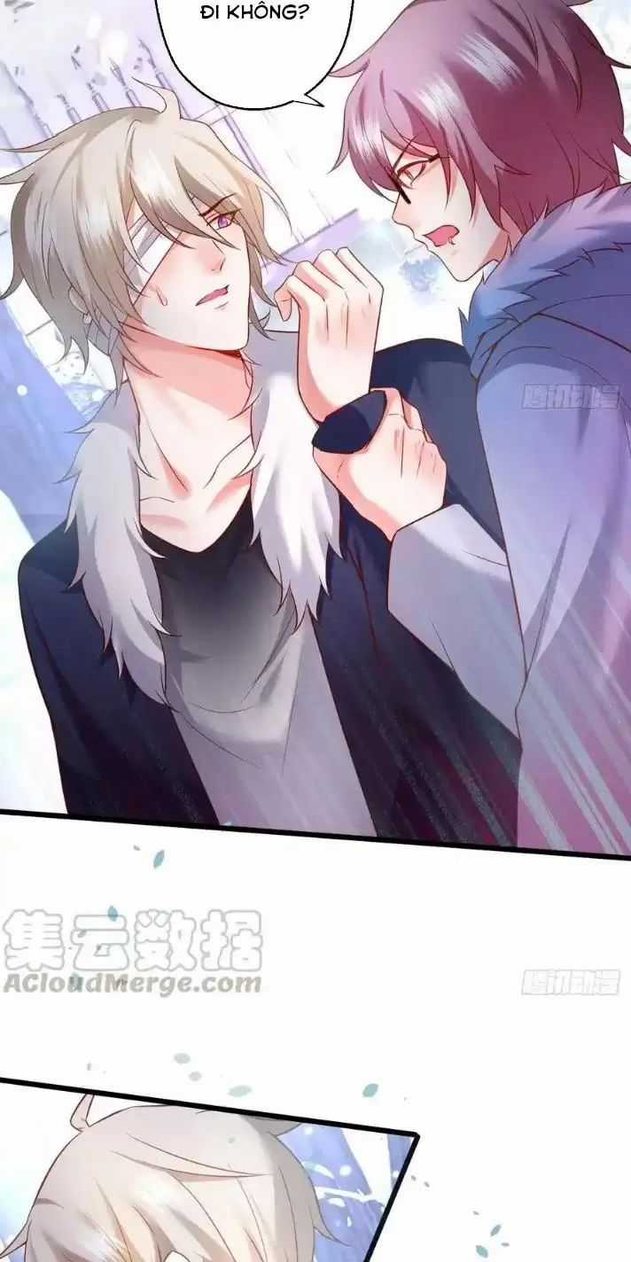 Hắc Đạo Đáng Yêu Chapter 167 trang 16