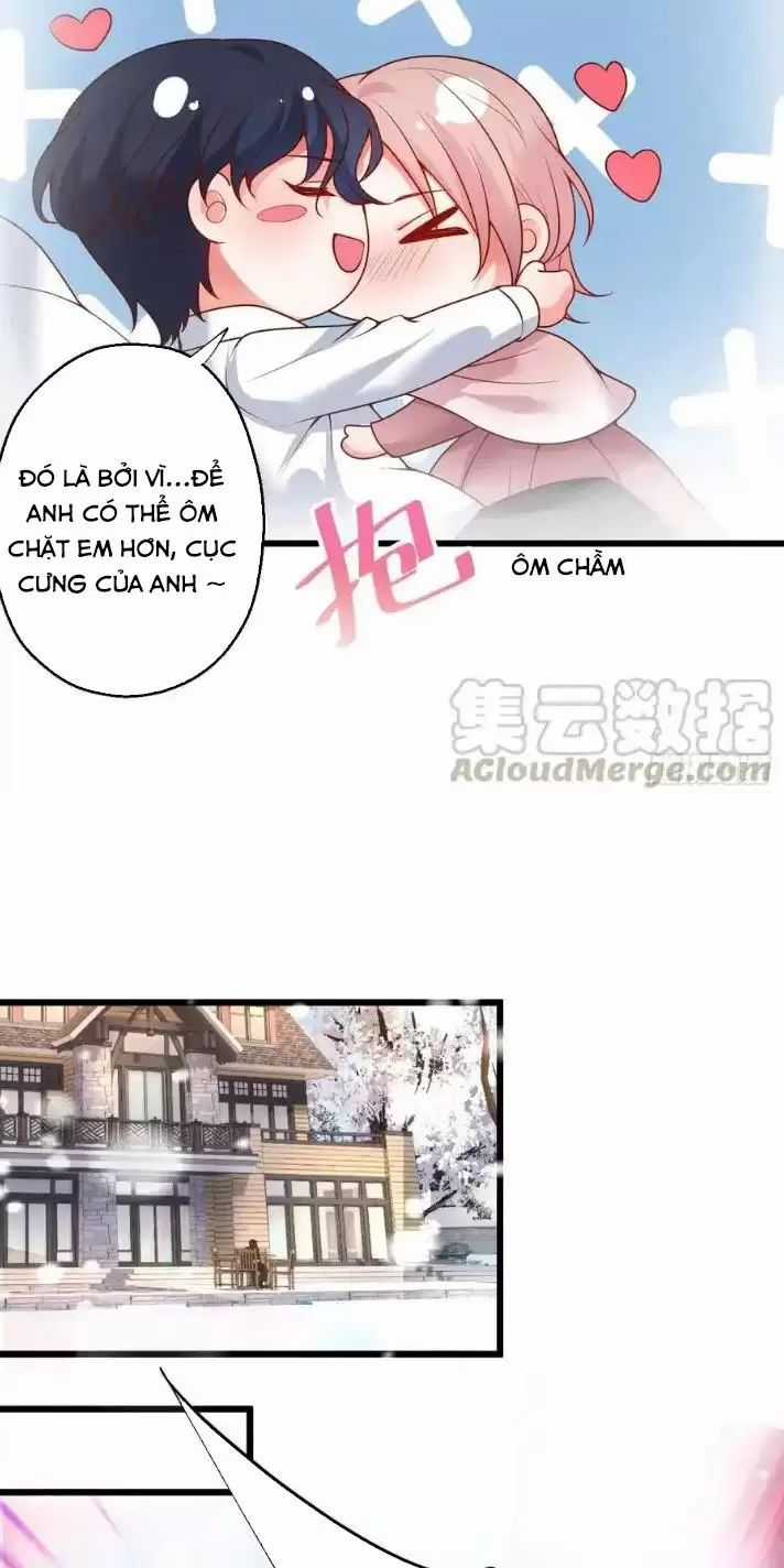 Hắc Đạo Đáng Yêu Chapter 167 trang 8