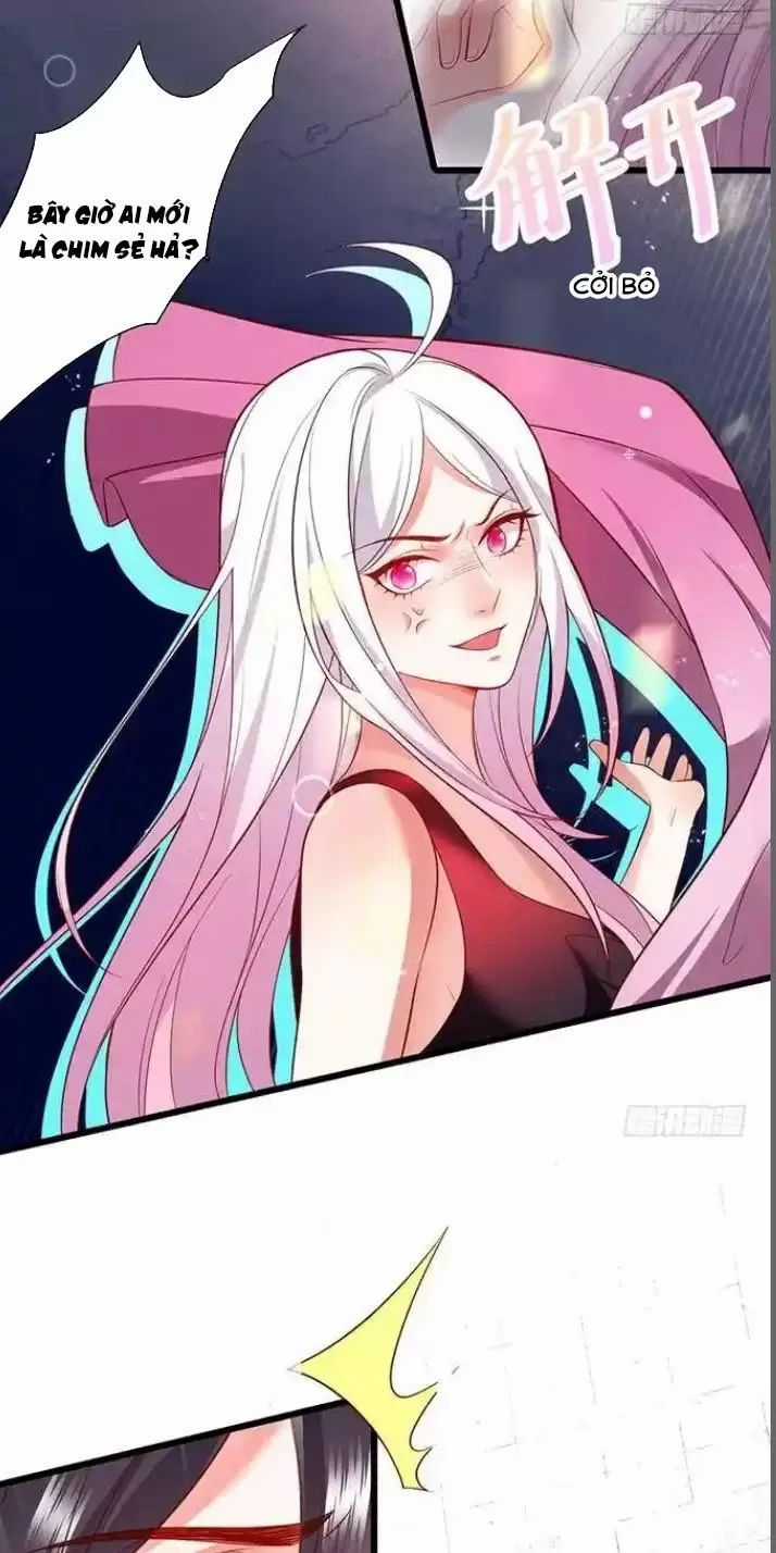 Hắc Đạo Đáng Yêu Chapter 168 trang 19