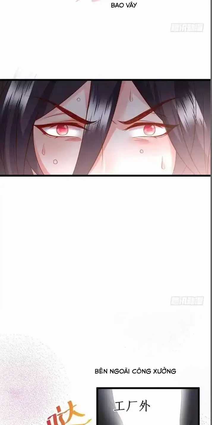 Hắc Đạo Đáng Yêu Chapter 168 trang 21