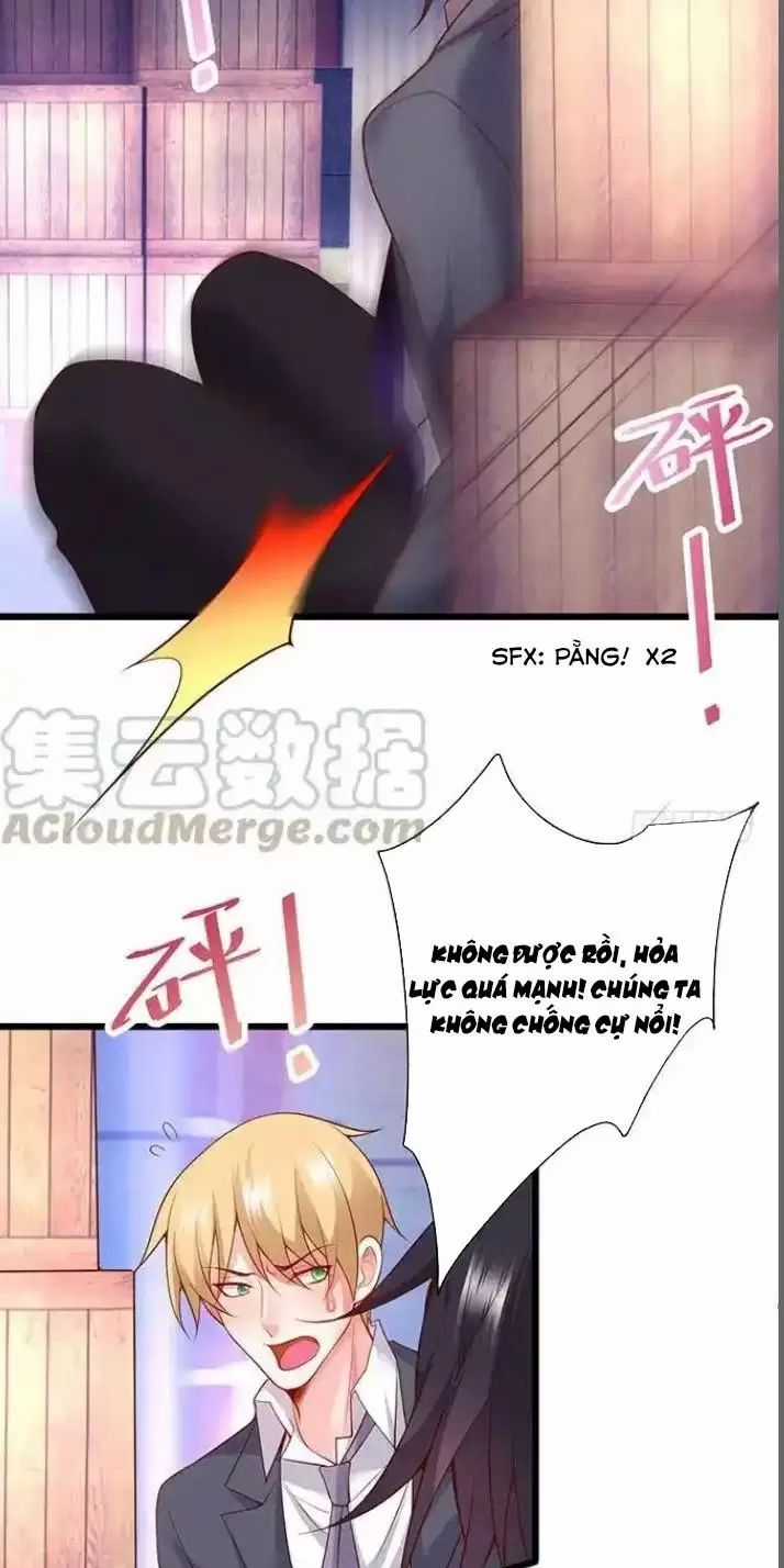 Hắc Đạo Đáng Yêu Chapter 168 trang 29