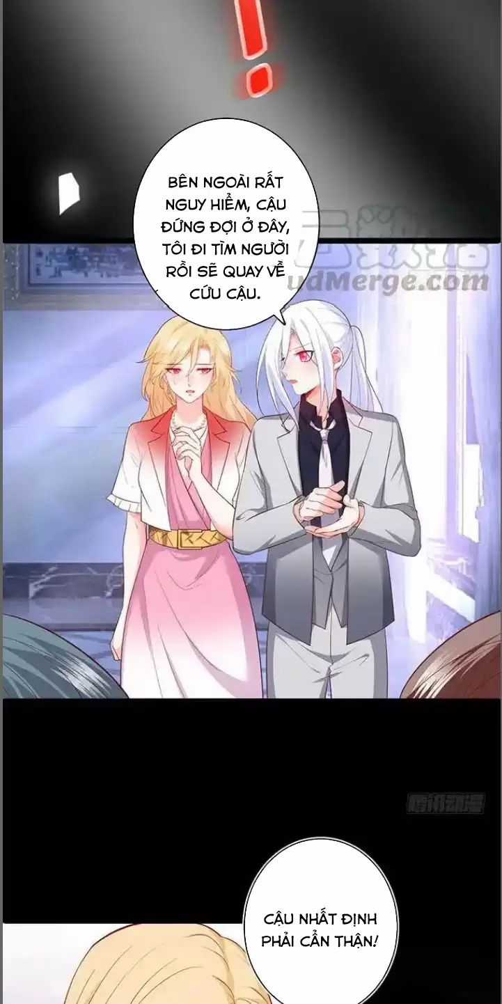 Hắc Đạo Đáng Yêu Chapter 173 trang 20