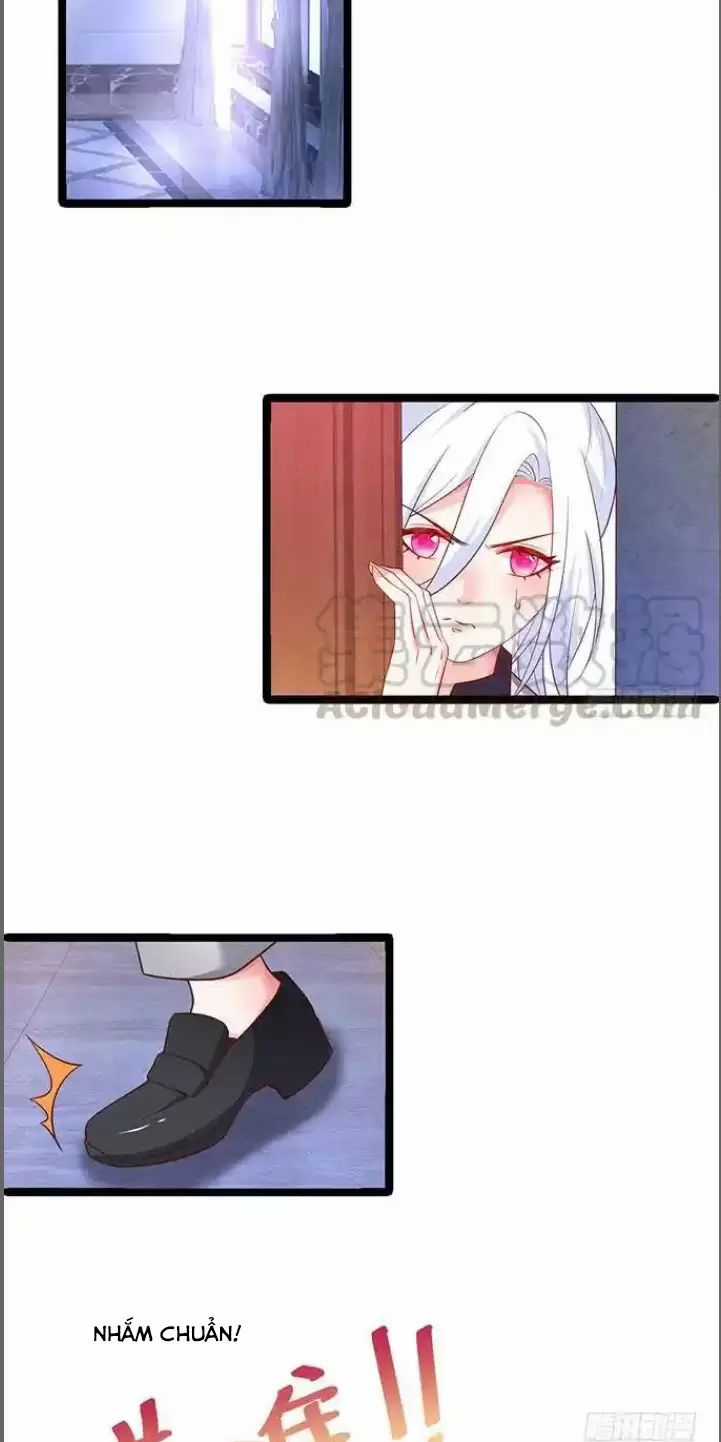 Hắc Đạo Đáng Yêu Chapter 173 trang 24