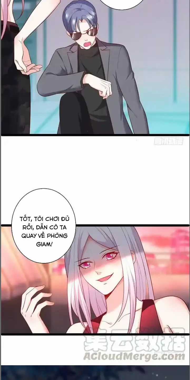 Hắc Đạo Đáng Yêu Chapter 173 trang 41