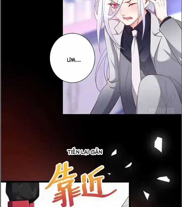 Hắc Đạo Đáng Yêu Chapter 173 trang 6