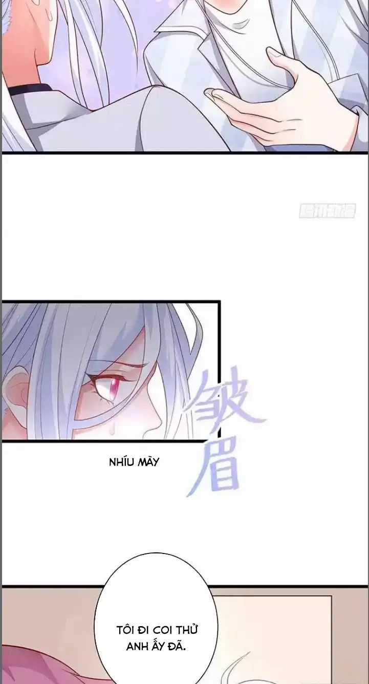 Hắc Đạo Đáng Yêu Chapter 174 trang 12