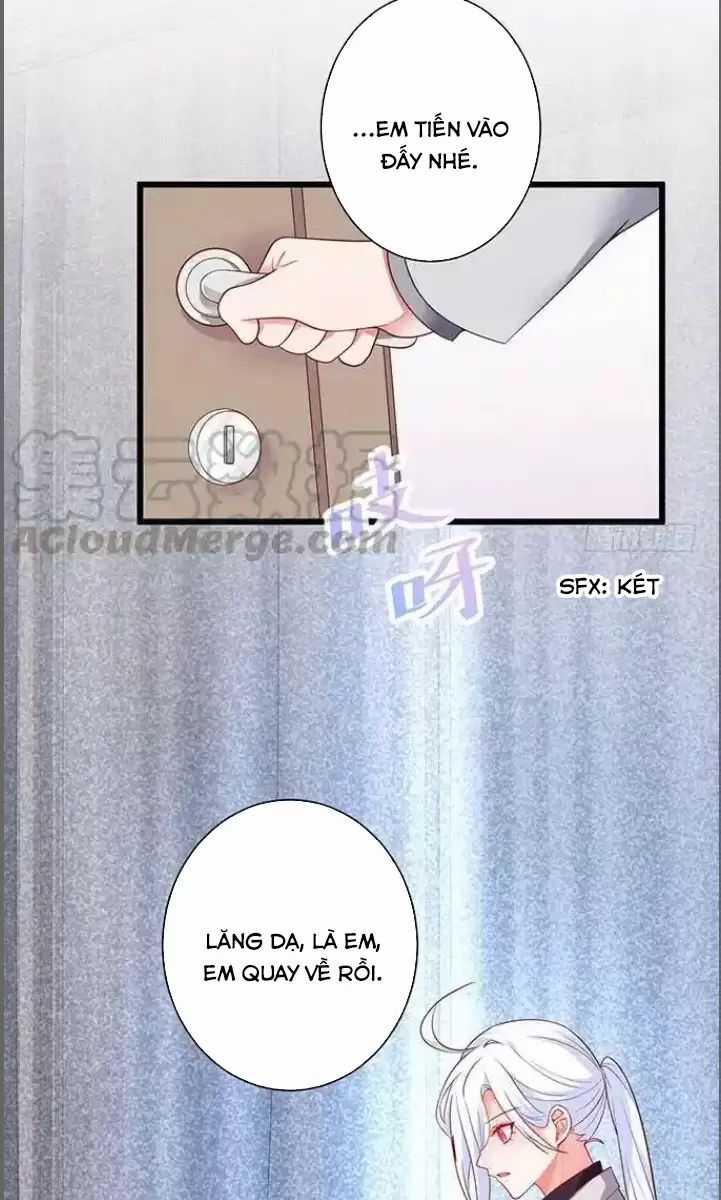 Hắc Đạo Đáng Yêu Chapter 174 trang 15