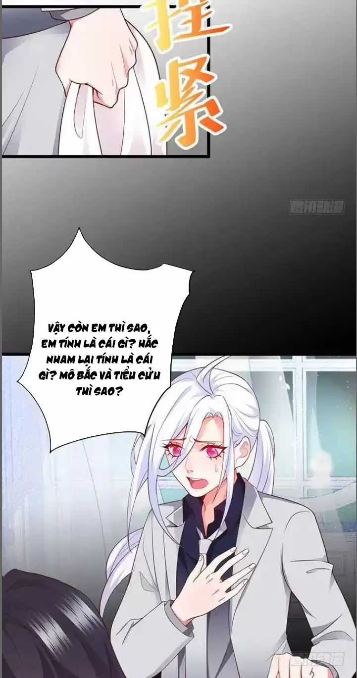 Hắc Đạo Đáng Yêu Chapter 174 trang 24